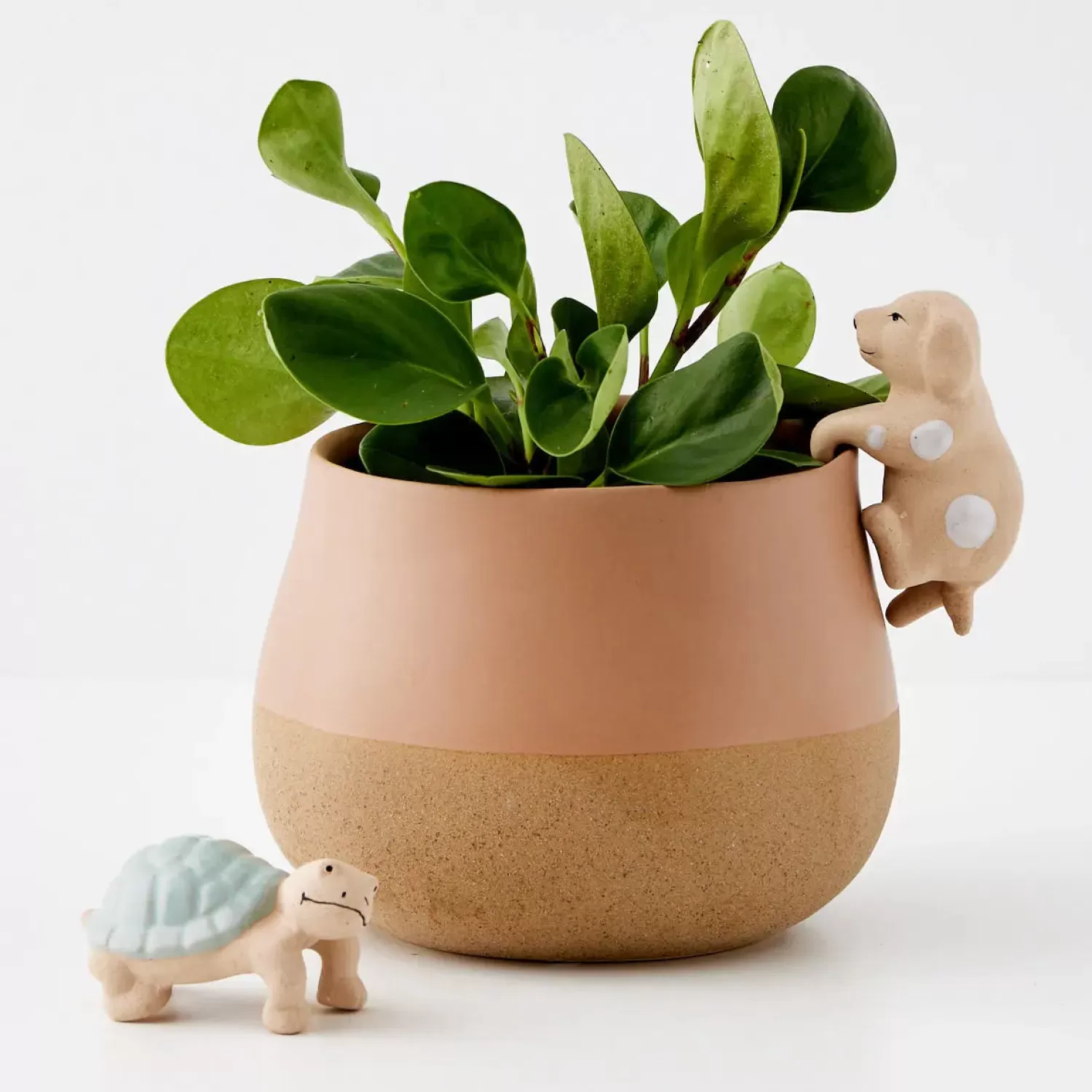 GigiandTom Barking Barry Ceramic Pot Hanger* Planters